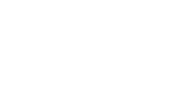 Destiny Sylvester